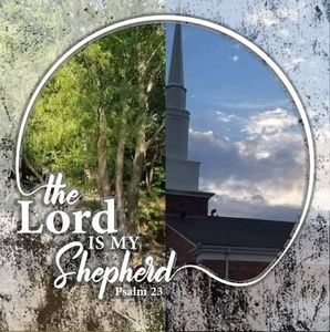 Meet your Posher, Carla